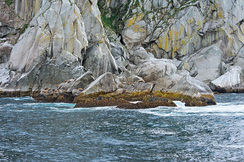 Alaska Wildlife-62.JPG